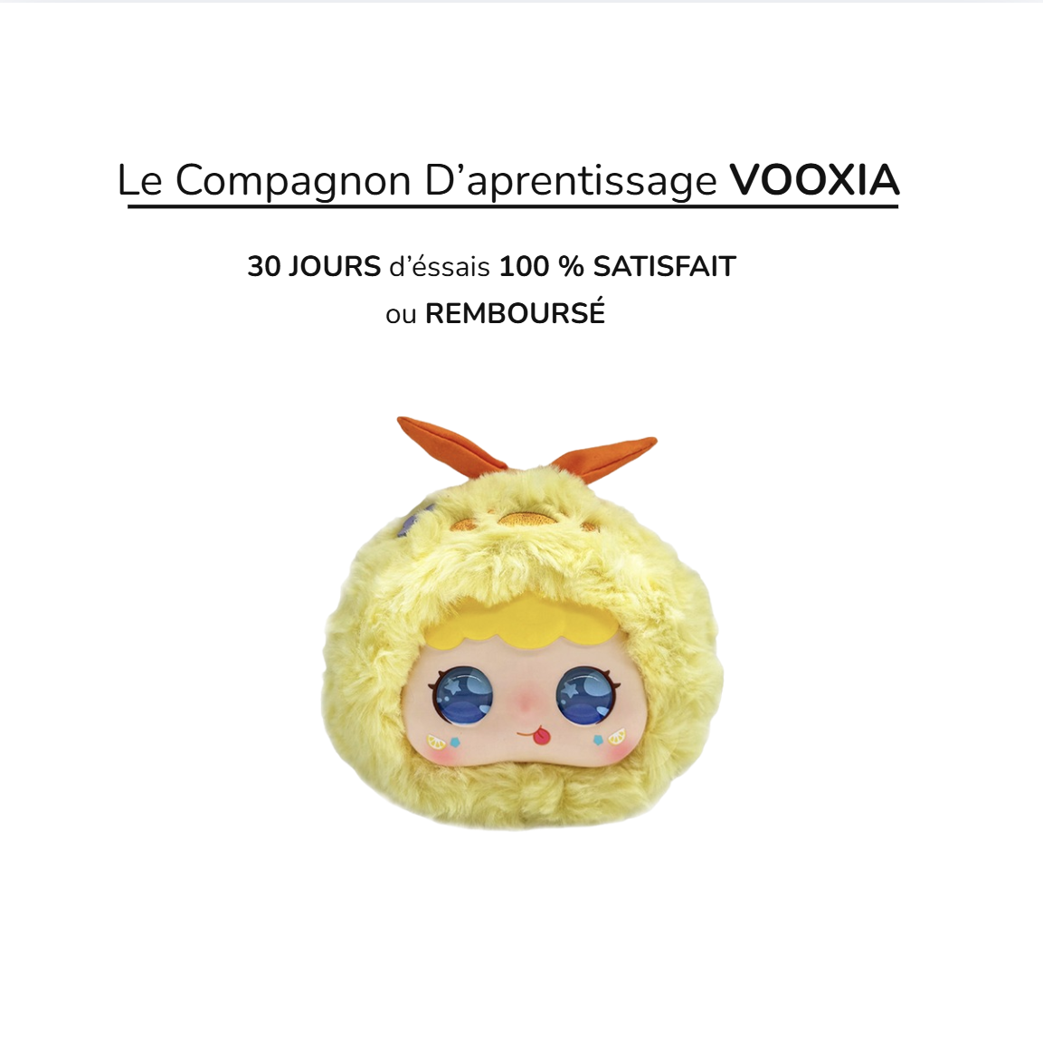 Le compagnon d’apprentissage et éducatif